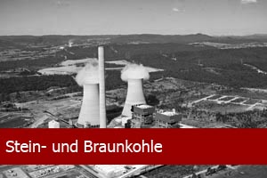 Stein- und Braunkohle